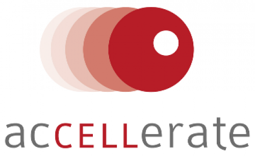 acCELLerate GmbH 221